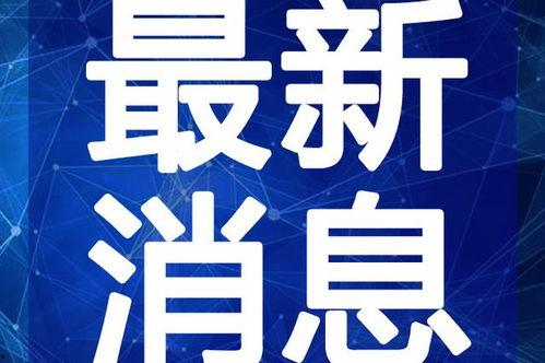 小米爆料大米视频大全最新,大米视频大全全新升级，精彩内容一网打尽！