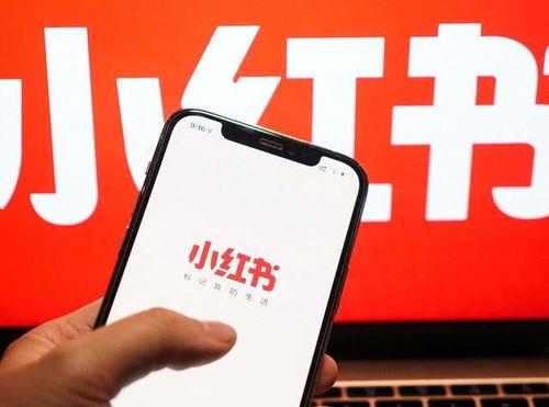 小红书最新爆料信息,明星私生活大揭秘，幕后故事令人震惊